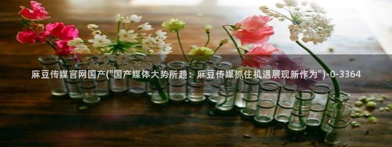 麻豆在线看专区：麻豆传媒官网国产(\