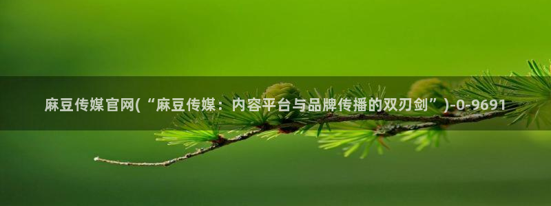 麻豆入口完整版：麻豆传媒官网(“麻豆传媒：内容平