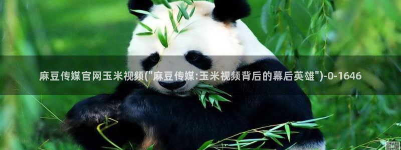 麻豆 更新专区：麻豆传媒官网玉米视频(\