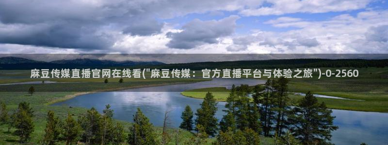 麻豆视频最新最新：麻豆传媒直播官网在线看(\