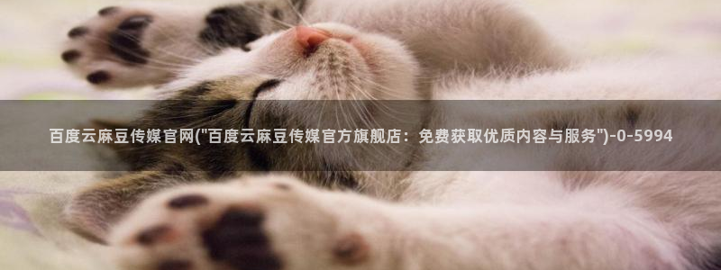 麻豆视频 系列专区：百度云麻豆传媒官网(\