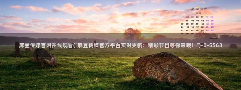麻豆视频 资源：麻豆传媒官网在线观看(\