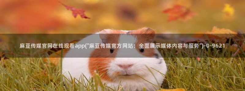麻豆热门：麻豆传媒官网在线观看app(\