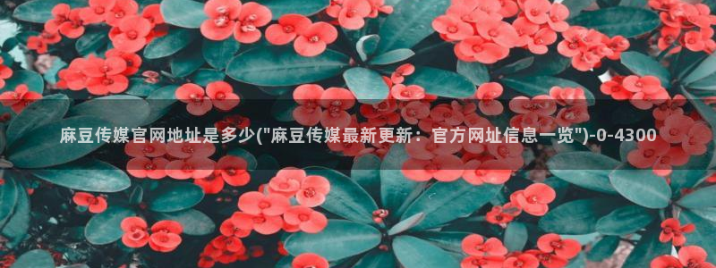 麻豆在线看合集：麻豆传媒官网地址是多少(\