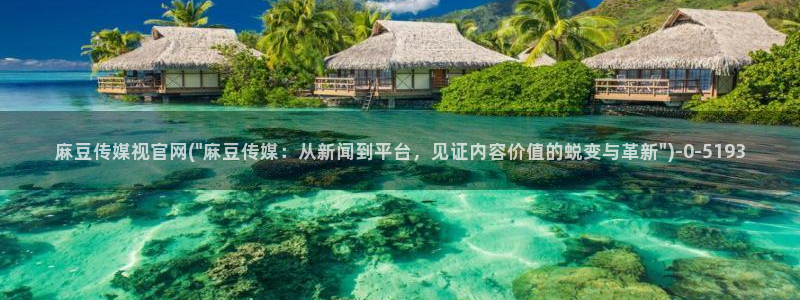 麻豆视频 专区下载：麻豆传媒视官网(\