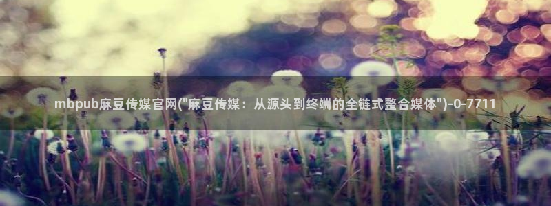 麻豆视频 资源高清：mbpub麻豆传媒官网(\