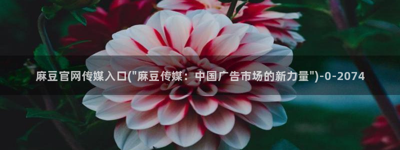 麻豆 资源完整版：麻豆官网传媒入口(\