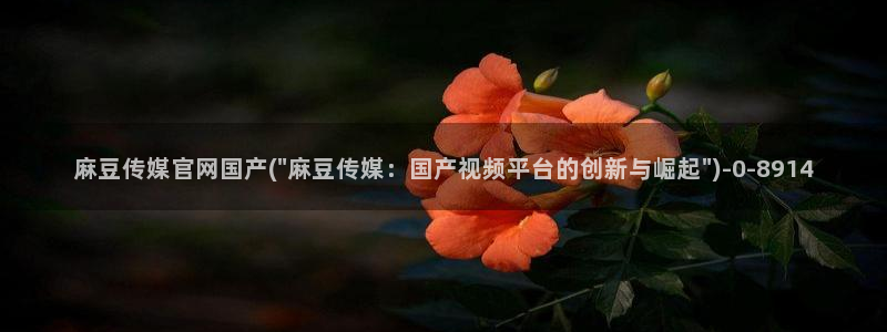 麻豆 最新：麻豆传媒官网国产(\