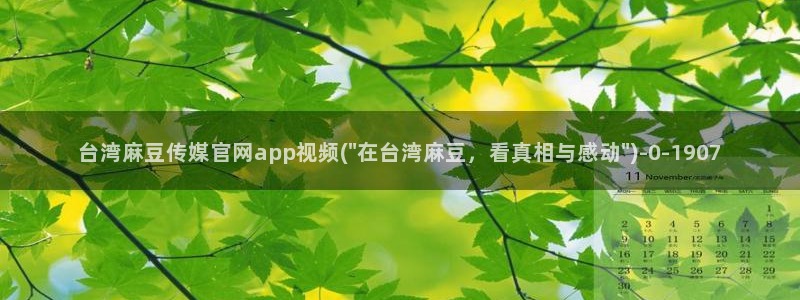麻豆推荐：台湾麻豆传媒官网app视频(\