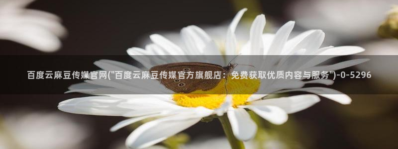 麻豆 完整版：百度云麻豆传媒官网(\
