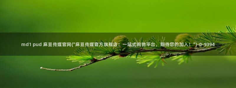 麻豆完整版整理：md1 pud 麻豆传媒官网(\