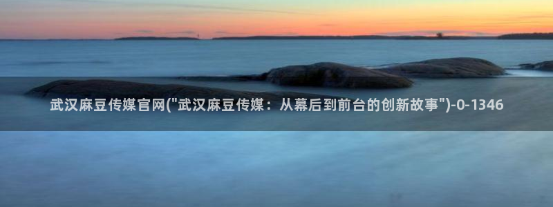 麻豆热门：武汉麻豆传媒官网(\