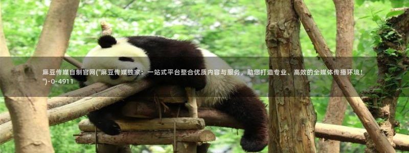 麻豆 最新资源：麻豆传媒自制官网(\