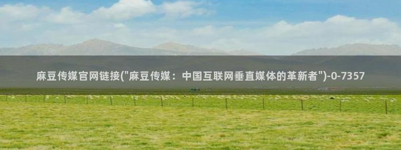 麻豆视频 站高清：麻豆传媒官网链接(\