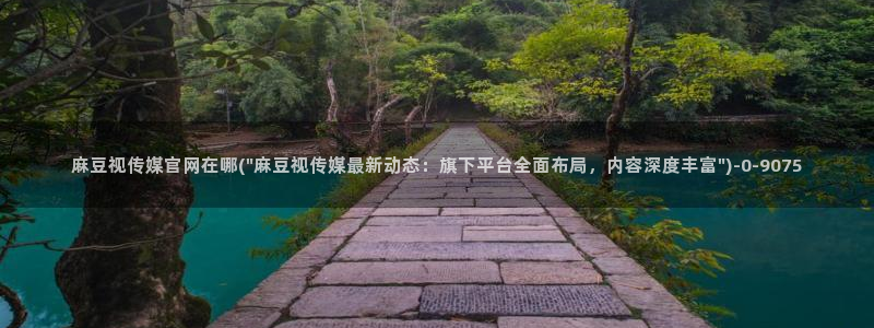 麻豆视频 专区入口：麻豆视传媒官网在哪(\