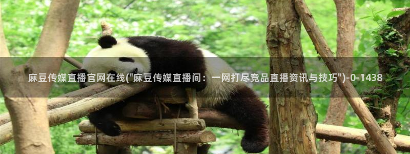 麻豆视频 热门导航：麻豆传媒直播官网在线(\